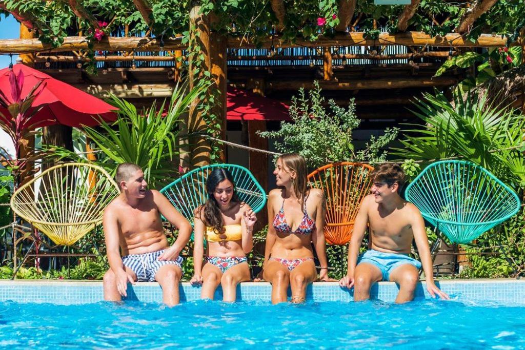 Colibri & Hotel 4*