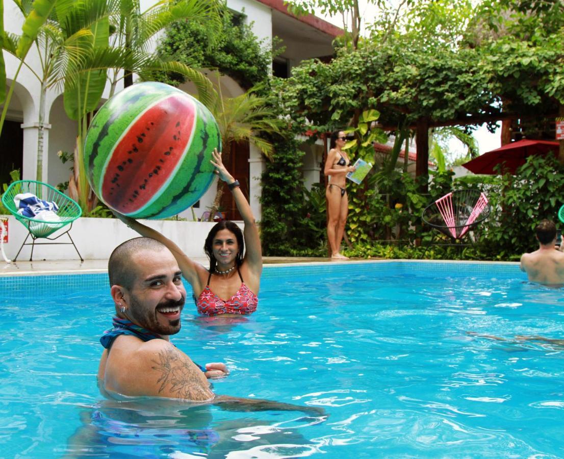 Colibri & Hotel 4*