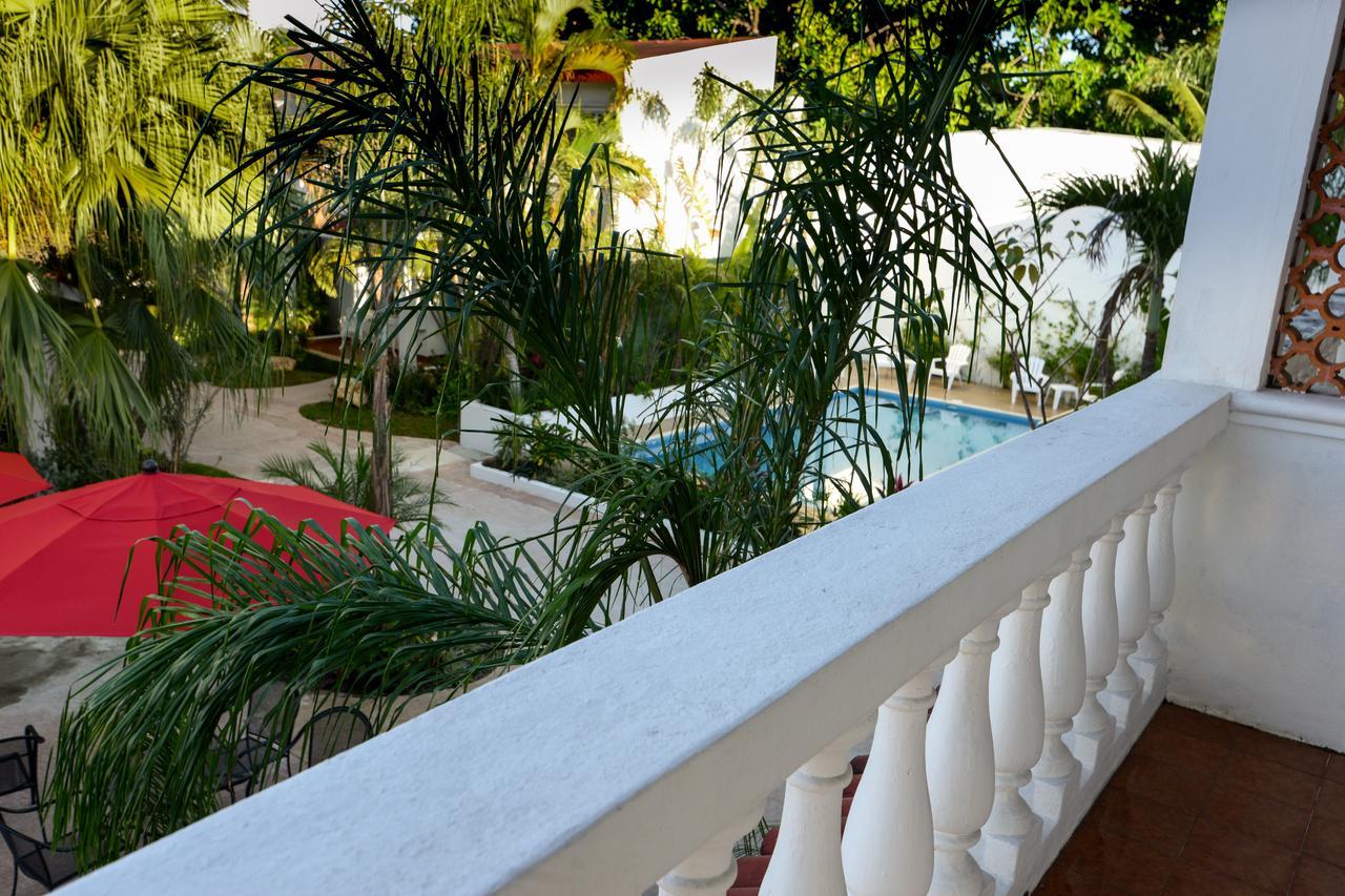 Colibri & Hotel