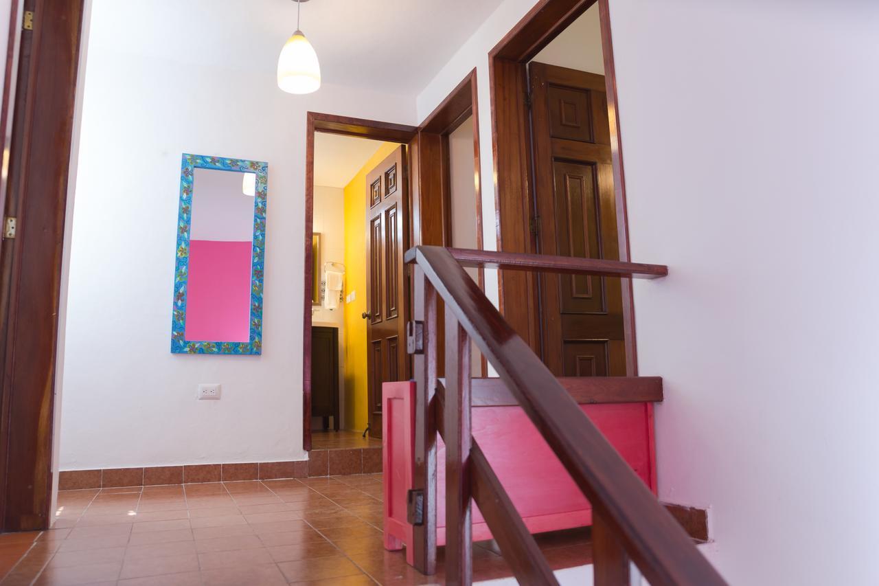 Colibri & 4*